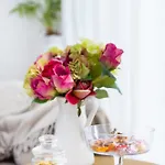 Eden Sunset Seaviews